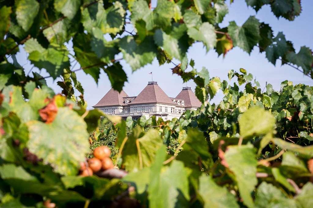 Chateau Elan Winery Braselton Εξωτερικό φωτογραφία