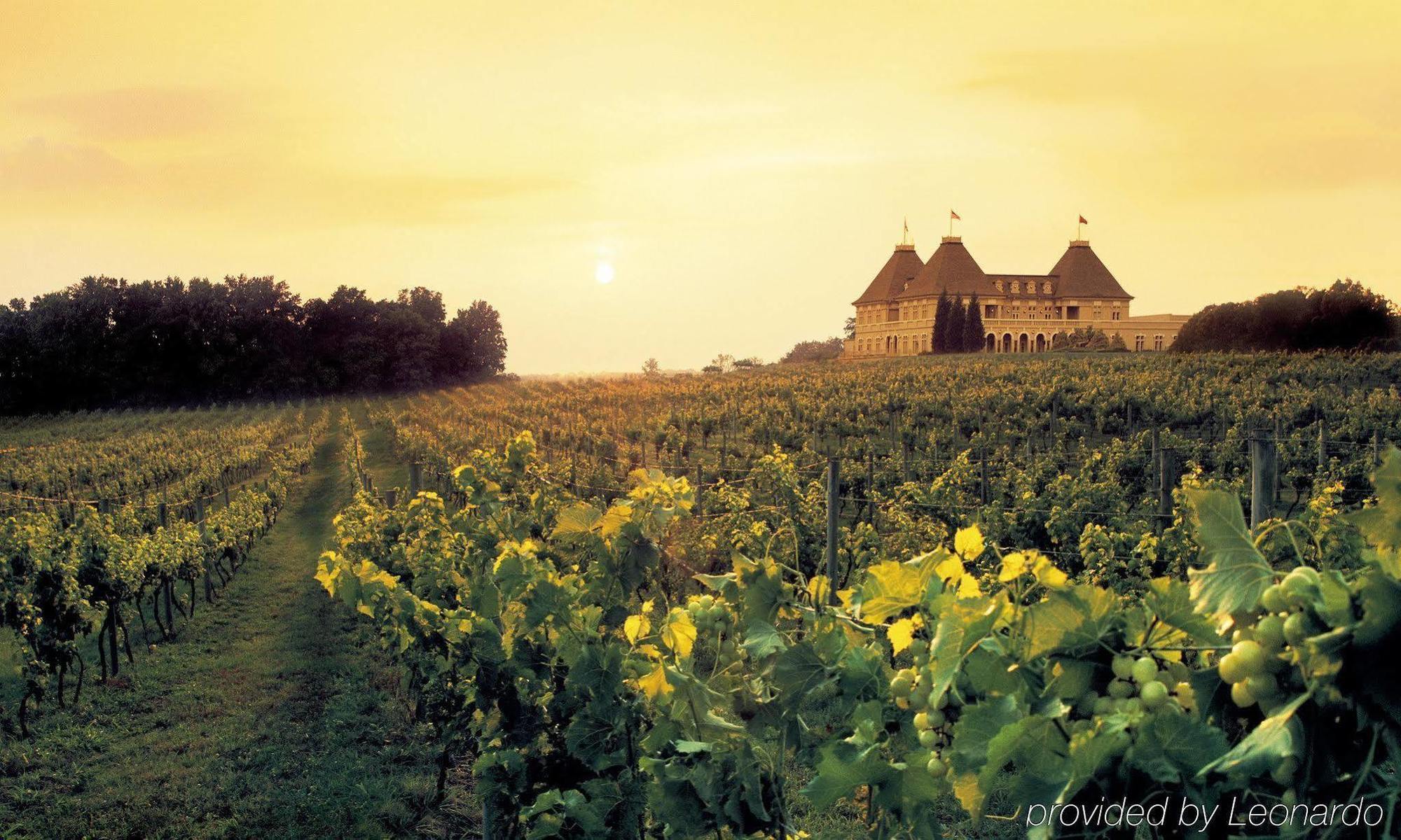 Chateau Elan Winery Braselton Εξωτερικό φωτογραφία