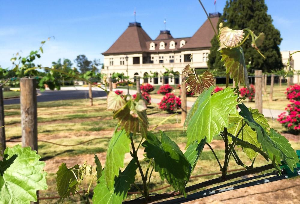 Chateau Elan Winery Braselton Εξωτερικό φωτογραφία
